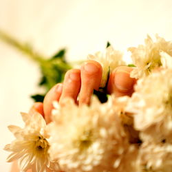 Fleur des Mains photo