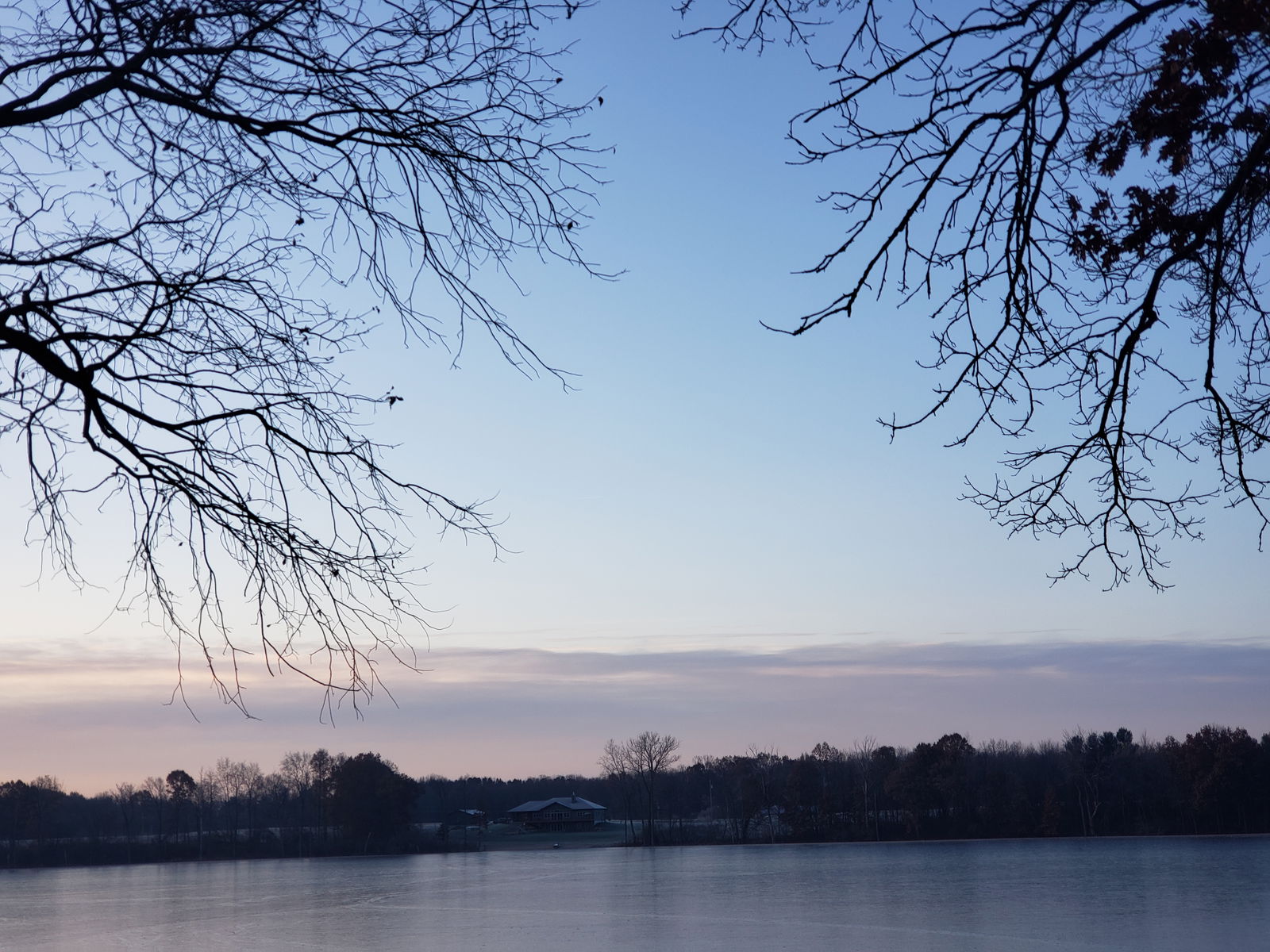 Paw Pals!! 🐸🐭 photo