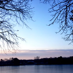 Paw Pals!! ๐ธ๐ญ photo