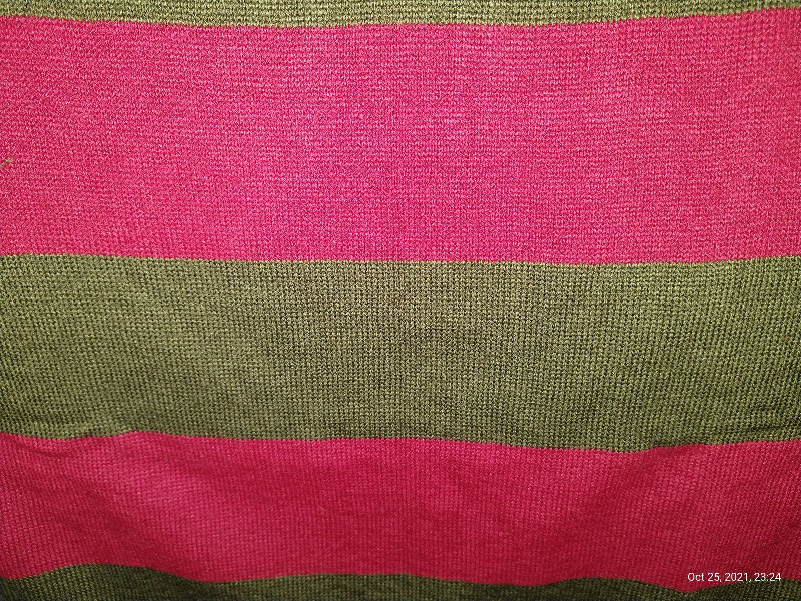 Oh Freddy Daddy photo