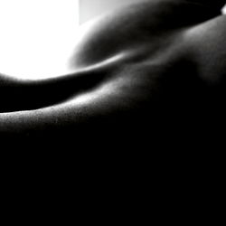 Maximus Adonis Photography photo