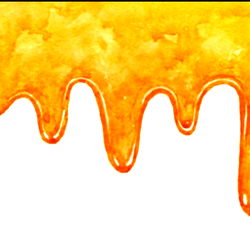 Ashley Whitman photo