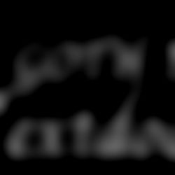 โฃ๏ธโค๏ธArgent Silverโค๏ธโฃ๏ธ photo