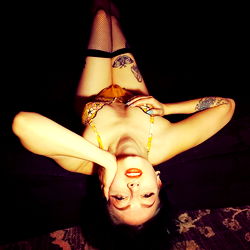 Foxy Buns - Tantalizing OnlyFans Model