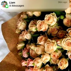 Anisa Santiago photo