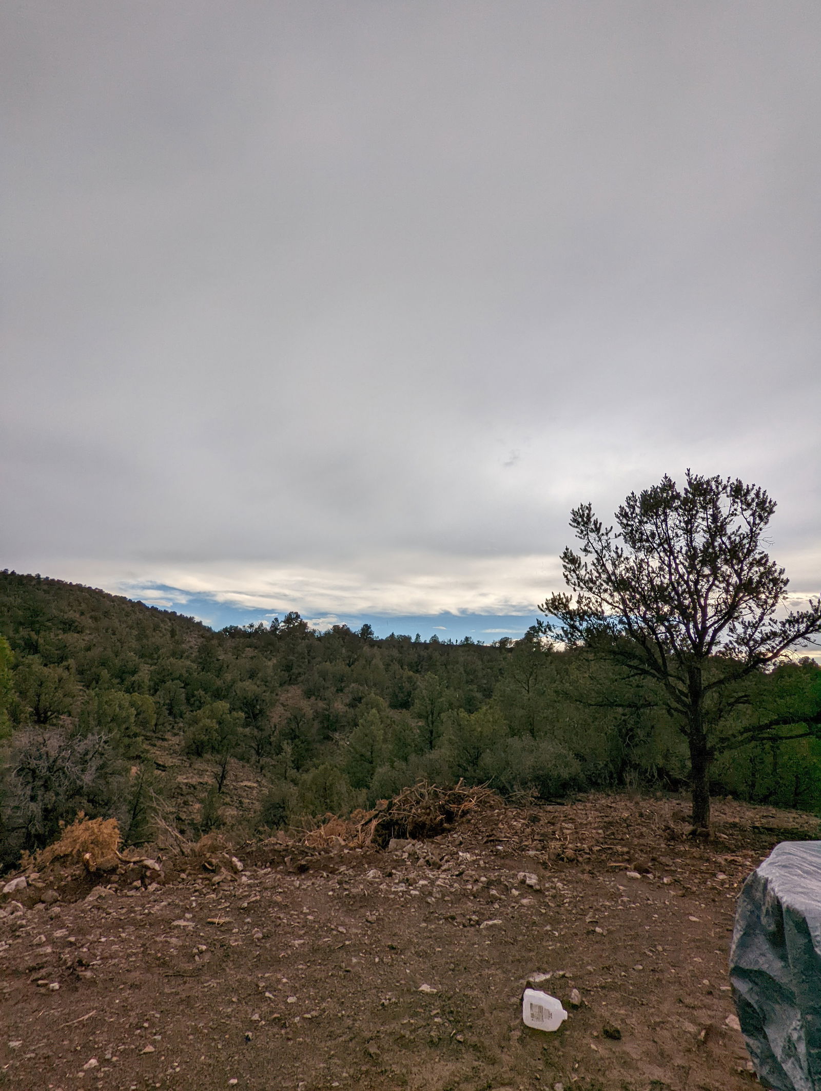 Little Linda Too photo