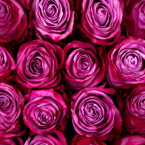 Aliki_Big_Booty photo