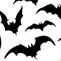 Ariaโ๏ธ๐ฆ photo