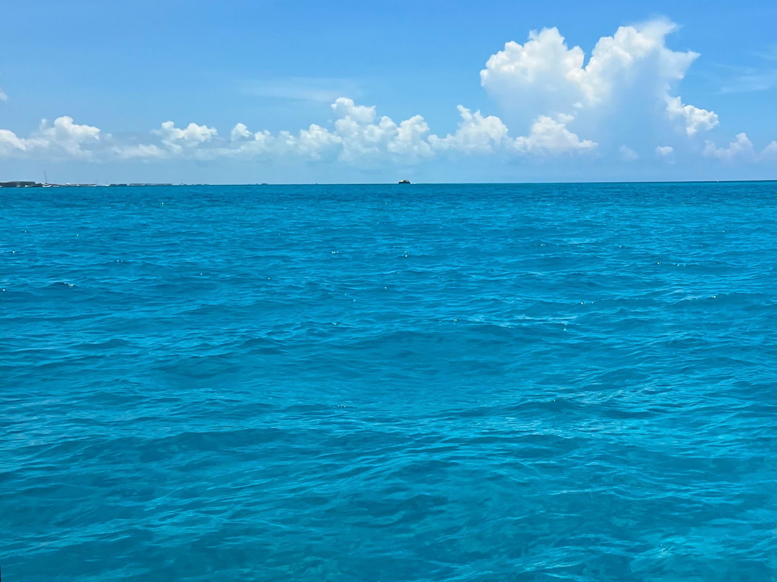 Allie 😇💕 photo