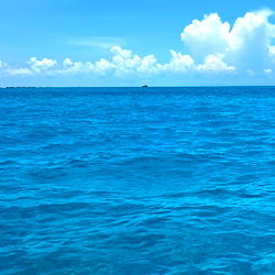 Allie 😇💕 photo