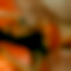 ๐๐ฑ๐ฎ๐ป๐ป๐ ๐๐พ๐๐พ๐ป๐ photo