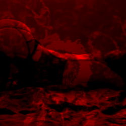 Sunflower Queen photo