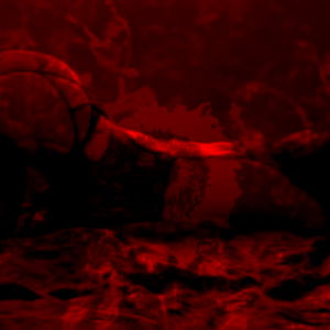 Sunflower Queen photo