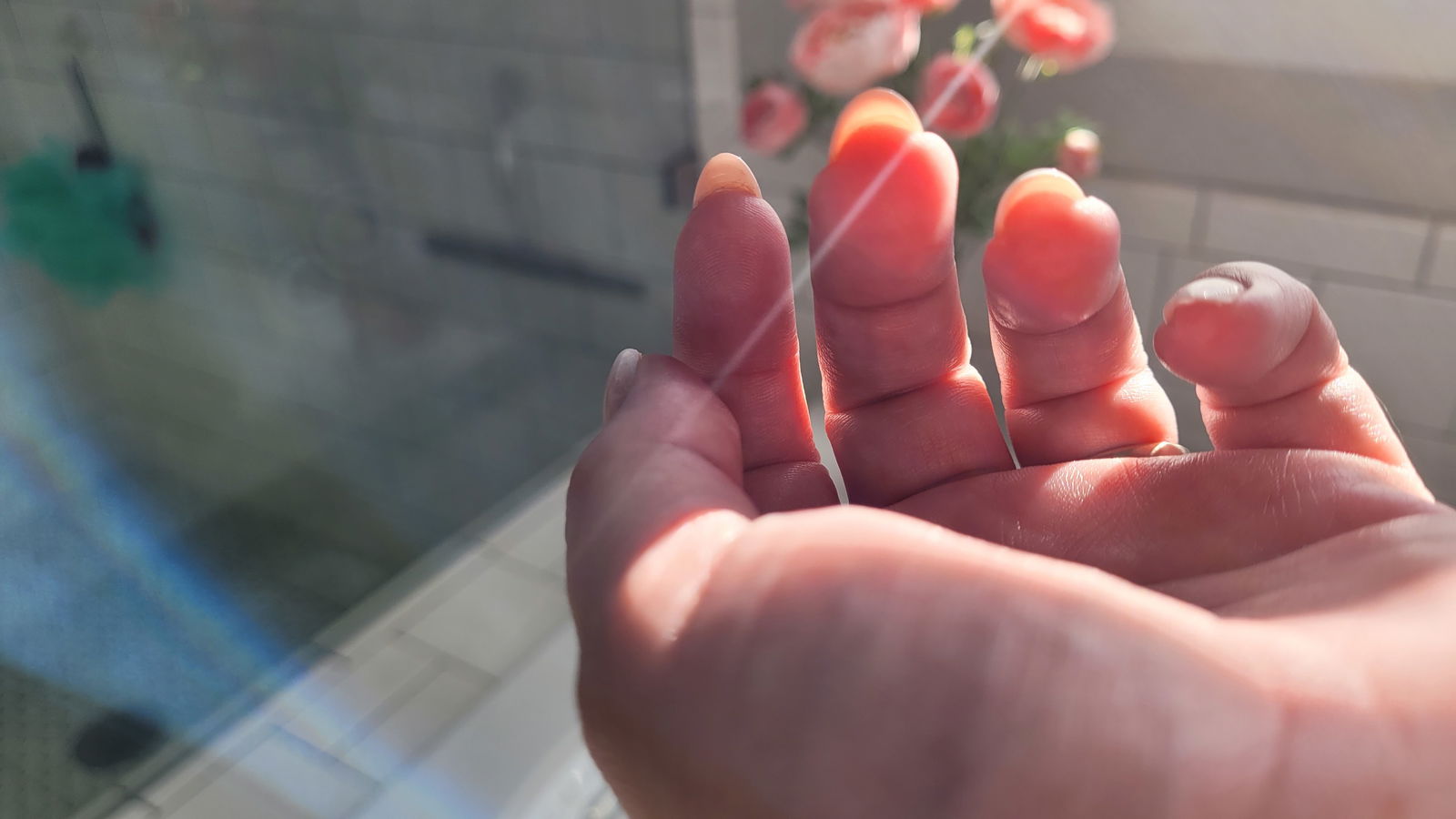 Alexa Sweetberry photo