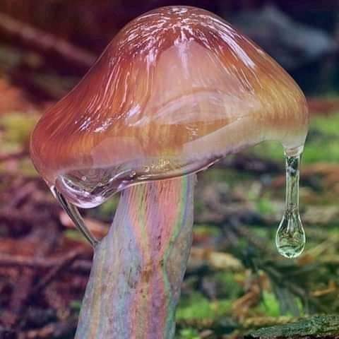 Alexander Jaczan photo