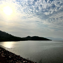 Journey with Shannon photo