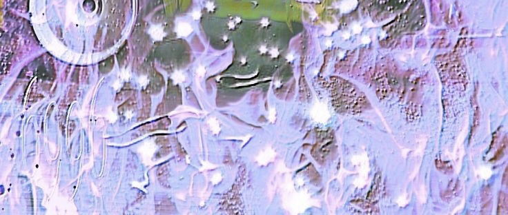 𝐘𝐚𝐦𝐚𝐠𝐮𝐜𝐡𝐢 photo