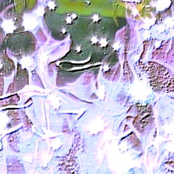 𝐘𝐚𝐦𝐚𝐠𝐮𝐜𝐡𝐢 photo