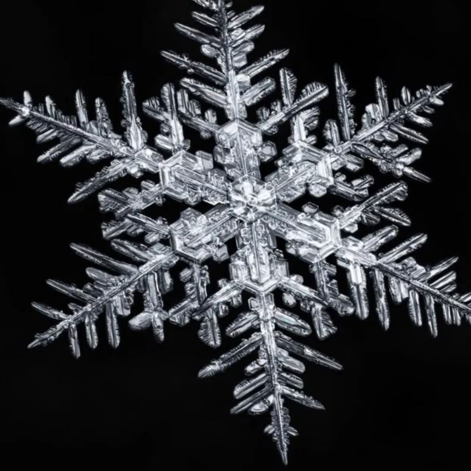 Snowflake photo