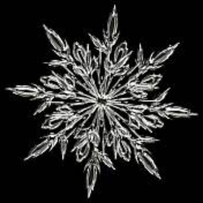 Snowflake photo