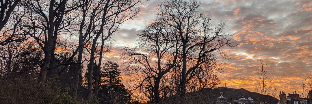 𝐊𝐈𝐍𝐆 𝐀𝐂𝐄 ♛ photo