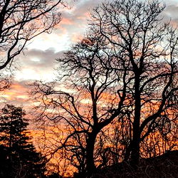 ๐๐๐๐ ๐๐๐ โ photo