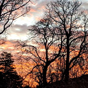 ๐๐๐๐ ๐๐๐ โ photo