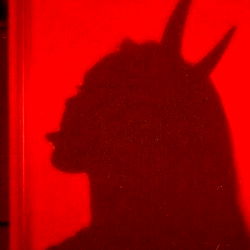 Karolin Orozco photo