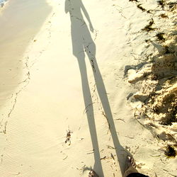 A Silhouette of a Person on the Beach