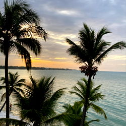 most hated bratz photo