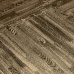 Luh L Model Photo - Onlyfans St. Louis