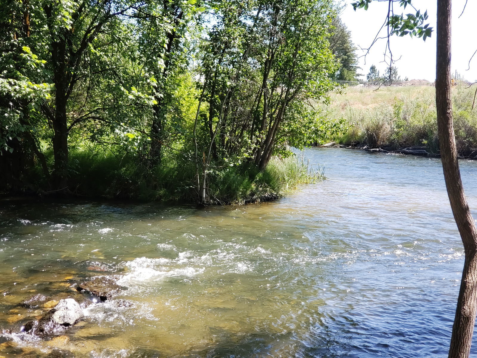 aislyn chilton photo