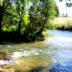 aislyn chilton photo