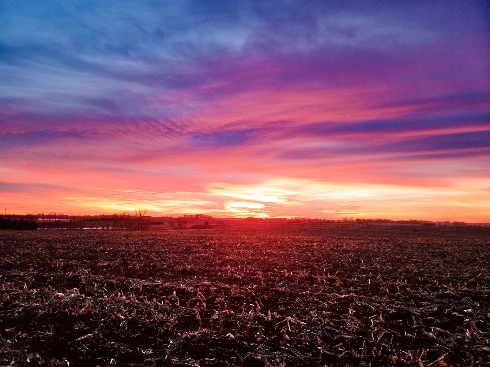 💗gingerly💕 photo