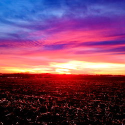 💗gingerly💕 photo