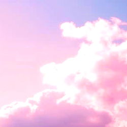 Alix Lynx FREE photo