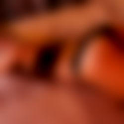 Alix Lynx FREE photo