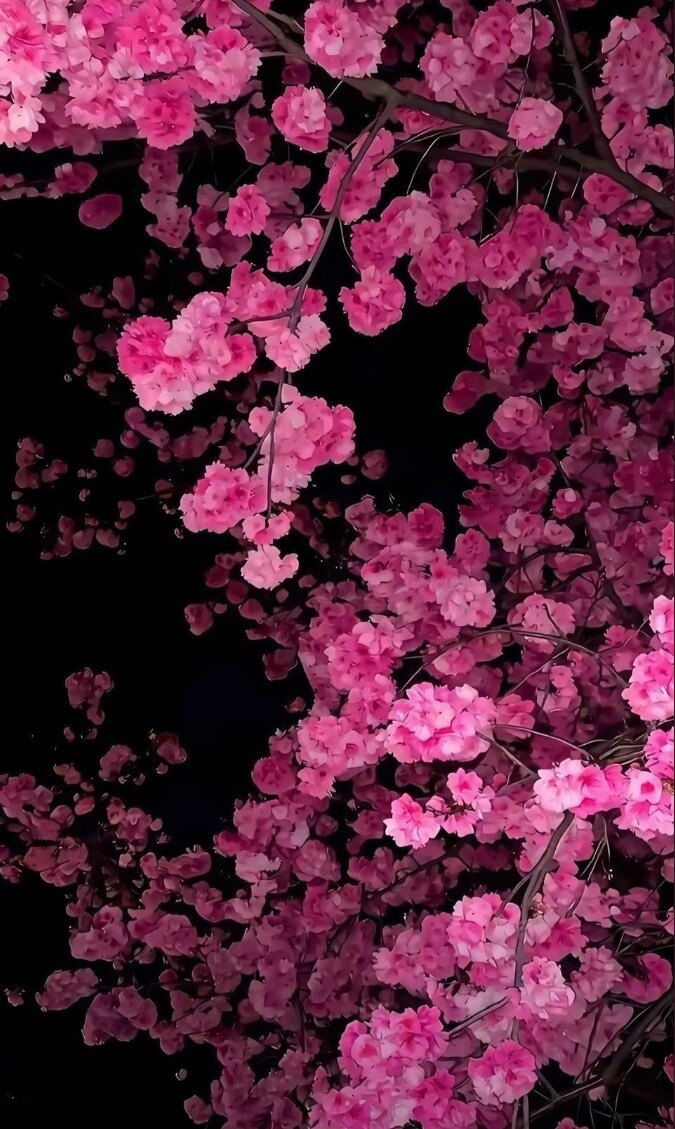 AdriannaXXXclusive photo