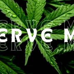 Findomme Goddess Ginger 🫚 photo