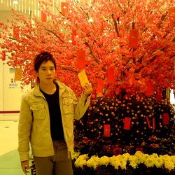 A Man Standing Next to a Pink Cherry Blossom Tree