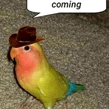 Parrot in a Cowboy Hat with CAPTION