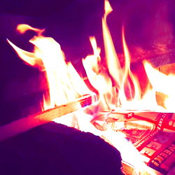 Michelle Gillis photo