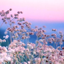 Dark side of the moon photo