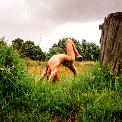 Sam | Brave Brothers | Nude Yoga photo