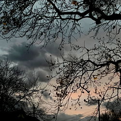 🖤 kiki 🖤 photo