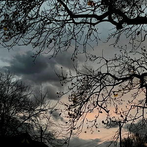 ๐ค kiki ๐ค photo