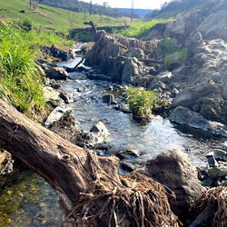 rachel oosterman photo