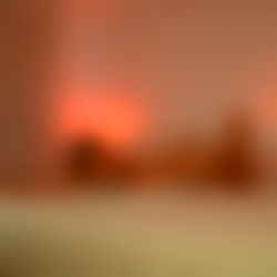 ๐ฆMichelle photo