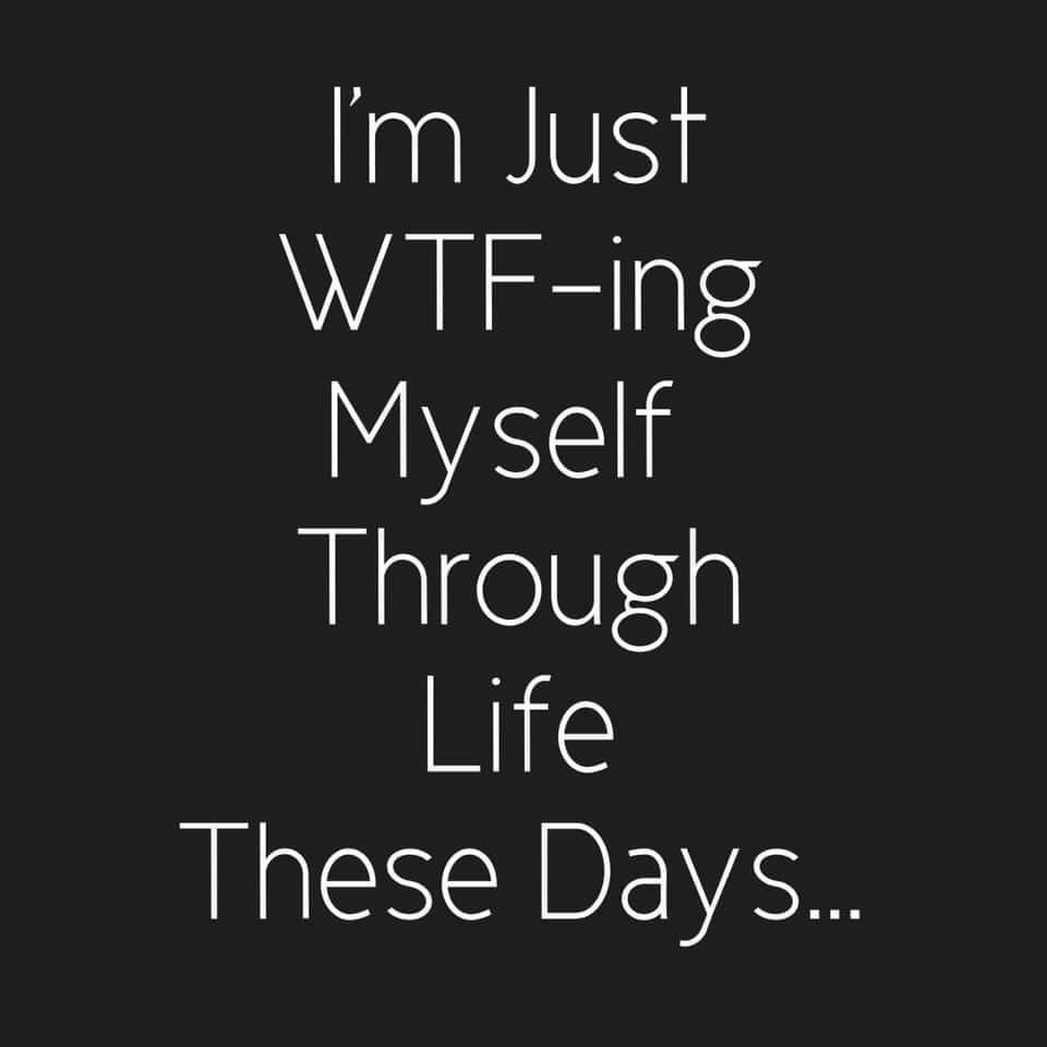 🦋 Butterfly 🦋 photo