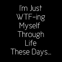 🦋 Butterfly 🦋 photo